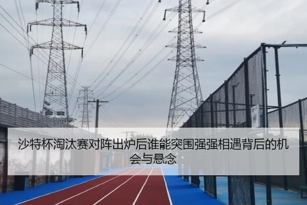沙特杯淘汰赛对阵出炉后谁能突围强强相遇背后的机会与悬念 | kaiyun